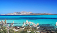 isola dell’Asinara